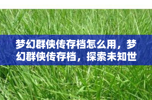 梦幻群侠传存档怎么用,梦幻群侠传存档,探索未知世界的珍贵记录 梦幻群侠传存档怎么用,梦幻群侠传存档,探索未知世界的珍贵记录