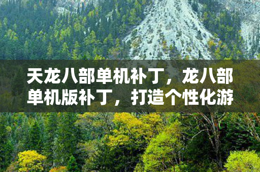 天龙八部单机补丁,龙八部单机版补丁,打造个性化游戏体验的必备神器 天龙八部单机补丁,龙八部单机版补丁,打造个性化游戏体验的必备神器