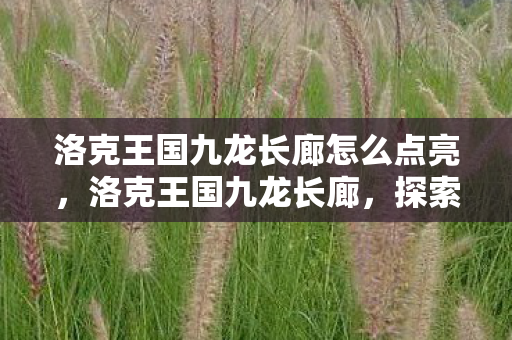 洛克王国九龙长廊怎么点亮,洛克王国九龙长廊,探索王国中的奇幻之旅 洛克王国九龙长廊怎么点亮,洛克王国九龙长廊,探索王国中的奇幻之旅