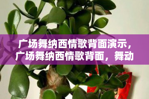 广场舞纳西情歌背面演示,广场舞纳西情歌背面,舞动中的文化传承与情感共鸣 广场舞纳西情歌背面演示,广场舞纳西情歌背面,舞动中的文化传承与情感共鸣