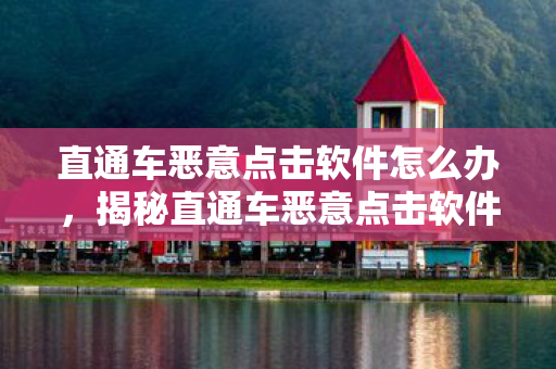 直通车恶意点击软件怎么办，揭秘直通车恶意点击软件，背后的秘密与影响