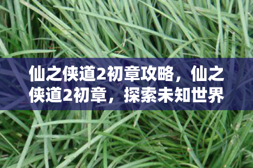 仙之侠道2初章攻略，仙之侠道2初章，探索未知世界的奇幻之旅