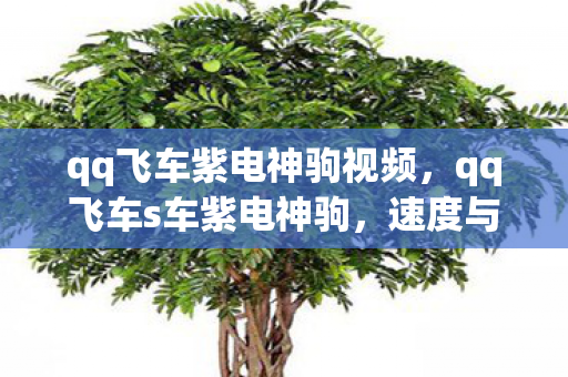 qq飞车紫电神驹视频，qq飞车s车紫电神驹，速度与激情的完美结合