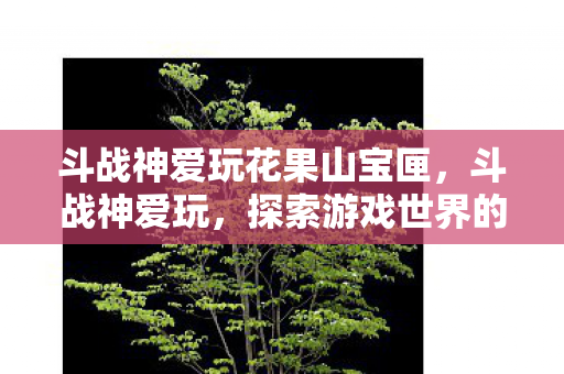 斗战神爱玩花果山宝匣，斗战神爱玩，探索游戏世界的无限可能