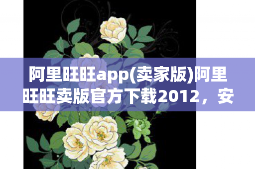 阿里旺旺app(卖家版)阿里旺旺卖版官方下载2012,安全、便捷、高效的商务沟通工具 阿里旺旺app(卖家版)阿里旺旺卖版官方下载2012,安全、便捷、高效的商务沟通工具