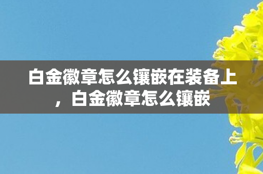 白金徽章怎么镶嵌在装备上,白金徽章怎么镶嵌 白金徽章怎么镶嵌在装备上,白金徽章怎么镶嵌