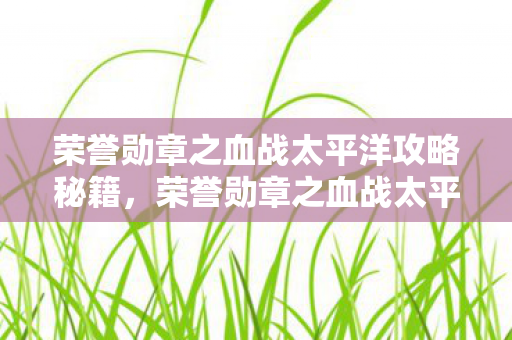 荣誉勋章之血战太平洋攻略秘籍，荣誉勋章之血战太平洋攻略