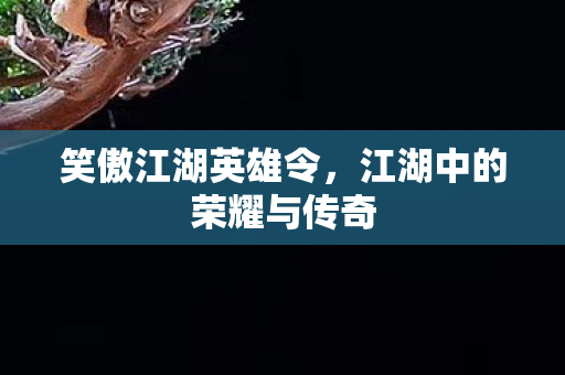 笑傲江湖英雄令,江湖中的荣耀与传奇 笑傲江湖英雄令,江湖中的荣耀与传奇