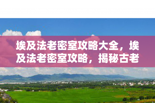 埃及法老密室攻略大全，埃及法老密室攻略，揭秘古老宝藏的探险之旅
