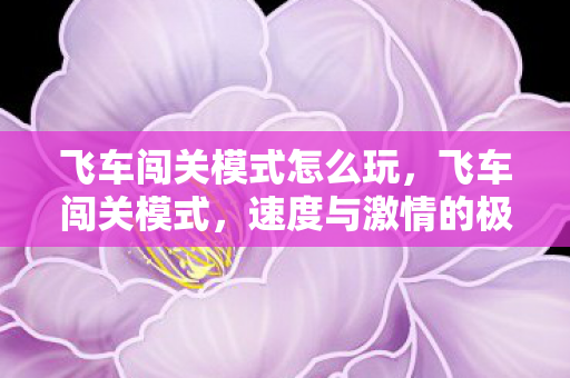 飞车闯关模式怎么玩,飞车闯关模式,速度与激情的极限挑战 飞车闯关模式怎么玩,飞车闯关模式,速度与激情的极限挑战