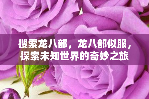 搜索龙八部,龙八部似服,探索未知世界的奇妙之旅 搜索龙八部,龙八部似服,探索未知世界的奇妙之旅