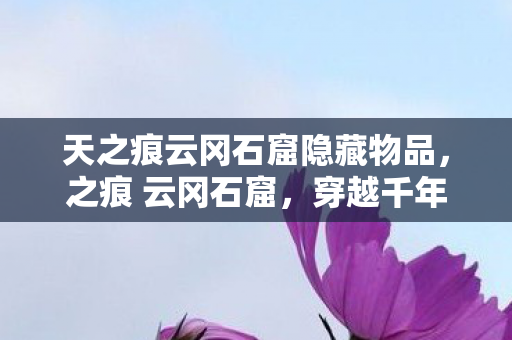 天之痕云冈石窟隐藏物品,之痕 云冈石窟,穿越千年的艺术瑰宝 天之痕云冈石窟隐藏物品,之痕 云冈石窟,穿越千年的艺术瑰宝