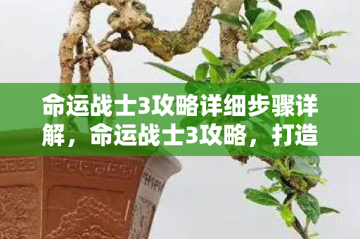 命运战士3攻略详细步骤详解,命运战士3攻略,打造最强战士的实战指南 命运战士3攻略详细步骤详解,命运战士3攻略,打造最强战士的实战指南