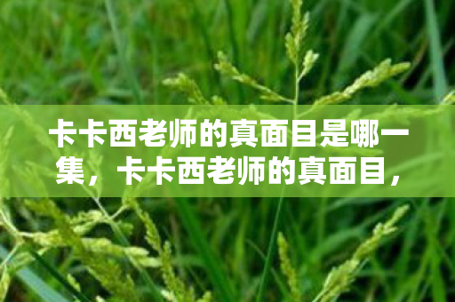 卡卡西老师的真面目是哪一集,卡卡西老师的真面目,天才忍者的多面人生 卡卡西老师的真面目是哪一集,卡卡西老师的真面目,天才忍者的多面人生