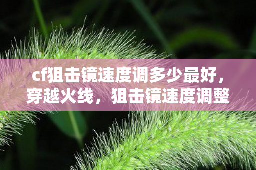 cf狙击镜速度调多少最好,穿越火线,狙击镜速度调整的艺术 cf狙击镜速度调多少最好,穿越火线,狙击镜速度调整的艺术