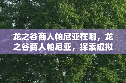 龙之谷商人帕尼亚在哪，龙之谷商人帕尼亚，探索虚拟世界的商业奥秘
