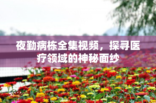 夜勤病栋全集视频，探寻医疗领域的神秘面纱