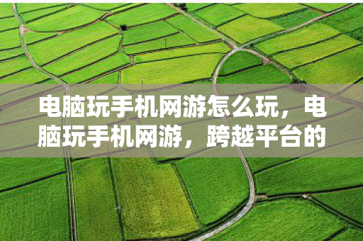 电脑玩手机网游怎么玩,电脑玩手机网游,跨越平台的娱乐新体验 电脑玩手机网游怎么玩,电脑玩手机网游,跨越平台的娱乐新体验