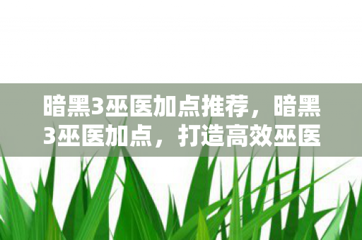 暗黑3巫医加点推荐,暗黑3巫医加点,打造高效巫医的攻略 暗黑3巫医加点推荐,暗黑3巫医加点,打造高效巫医的攻略