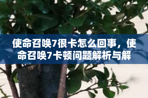 使命召唤7很卡怎么回事，使命召唤7卡顿问题解析与解决建议