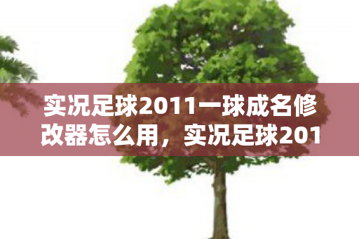实况足球2011一球成名修改器怎么用,实况足球2011一球成名修改器,打造个性化游戏体验 实况足球2011一球成名修改器怎么用,实况足球2011一球成名修改器,打造个性化游戏体验