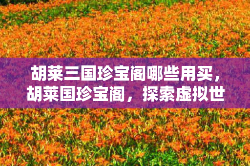 胡莱三国珍宝阁哪些用买,胡莱国珍宝阁,探索虚拟世界的奇妙宝藏 胡莱三国珍宝阁哪些用买,胡莱国珍宝阁,探索虚拟世界的奇妙宝藏