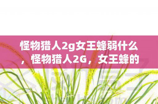 怪物猎人2g女王蜂弱什么,怪物猎人2G,女王蜂的传奇与挑战 怪物猎人2g女王蜂弱什么,怪物猎人2G,女王蜂的传奇与挑战