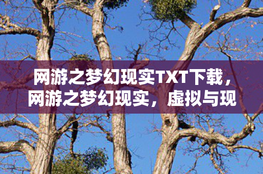 网游之梦幻现实TXT下载,网游之梦幻现实,虚拟与现实的交织 网游之梦幻现实TXT下载,网游之梦幻现实,虚拟与现实的交织