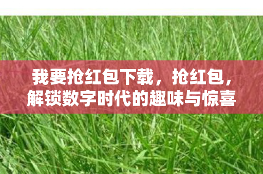 我要抢红包下载,抢红包,解锁数字时代的趣味与惊喜 我要抢红包下载,抢红包,解锁数字时代的趣味与惊喜