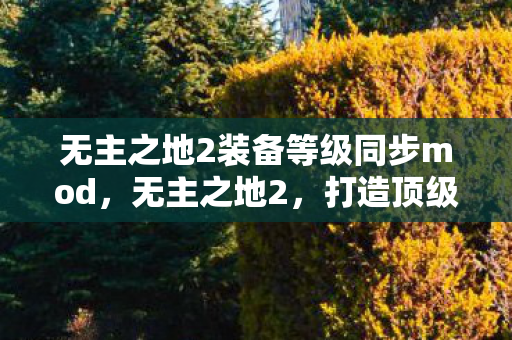 无主之地2装备等级同步mod,无主之地2,打造顶级装备,提升游戏战力 无主之地2装备等级同步mod,无主之地2,打造顶级装备,提升游戏战力