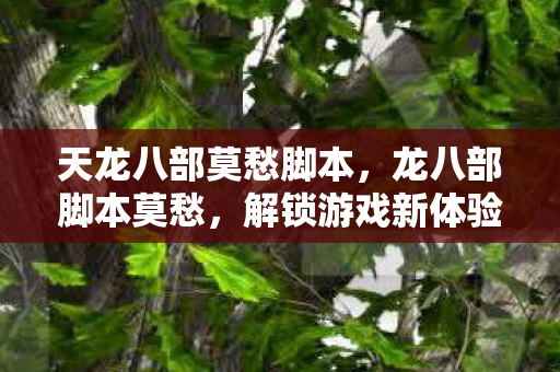 天龙八部莫愁脚本,龙八部脚本莫愁,解锁游戏新体验,安全高效是关键 天龙八部莫愁脚本,龙八部脚本莫愁,解锁游戏新体验,安全高效是关键