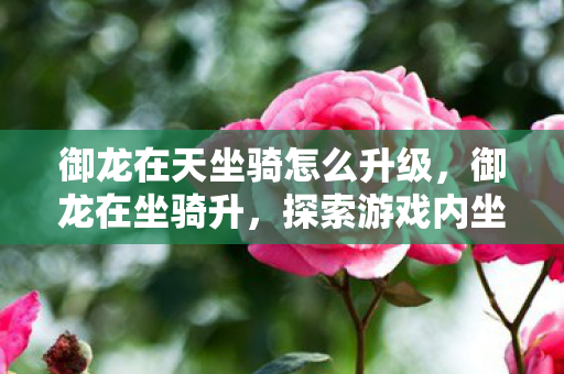 御龙在天坐骑怎么升级,御龙在坐骑升,探索游戏内坐骑升级的乐趣与挑战 御龙在天坐骑怎么升级,御龙在坐骑升,探索游戏内坐骑升级的乐趣与挑战