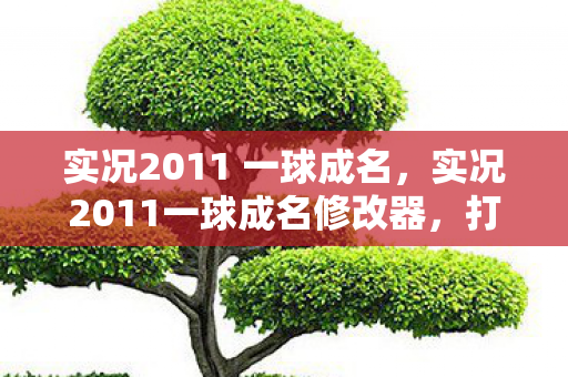 实况2011 一球成名,实况2011一球成名修改器,打造个性化足球之旅 实况2011 一球成名,实况2011一球成名修改器,打造个性化足球之旅