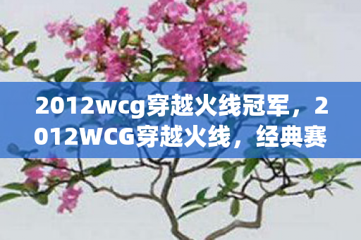 2012wcg穿越火线冠军,2012WCG穿越火线,经典赛事的辉煌与传承 2012wcg穿越火线冠军,2012WCG穿越火线,经典赛事的辉煌与传承
