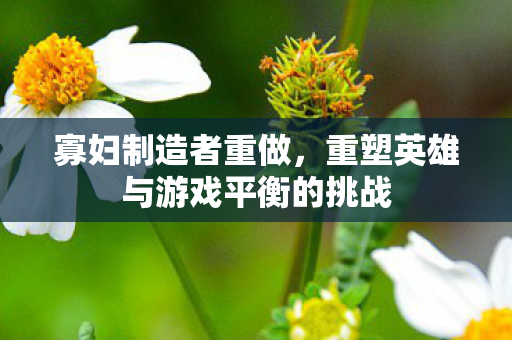 寡妇制造者重做,重塑英雄与游戏平衡的挑战 寡妇制造者重做,重塑英雄与游戏平衡的挑战