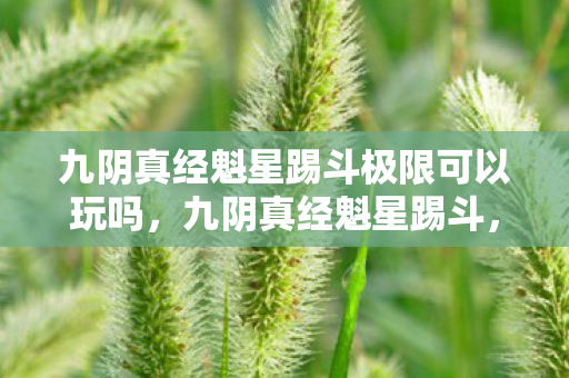 九阴真经魁星踢斗极限可以玩吗,九阴真经魁星踢斗,探寻武侠世界的独特魅力 九阴真经魁星踢斗极限可以玩吗,九阴真经魁星踢斗,探寻武侠世界的独特魅力