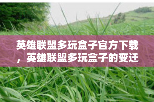 英雄联盟多玩盒子官方下载,英雄联盟多玩盒子的变迁与影响 英雄联盟多玩盒子官方下载,英雄联盟多玩盒子的变迁与影响
