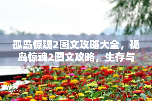 孤岛惊魂2图文攻略大全,孤岛惊魂2图文攻略,生存与战斗的艺术 孤岛惊魂2图文攻略大全,孤岛惊魂2图文攻略,生存与战斗的艺术