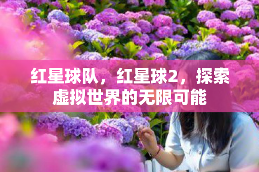 红星球队,红星球2,探索虚拟世界的无限可能 红星球队,红星球2,探索虚拟世界的无限可能