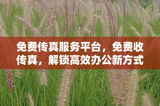 免费传真服务平台,免费收传真,解锁高效办公新方式 免费传真服务平台,免费收传真,解锁高效办公新方式