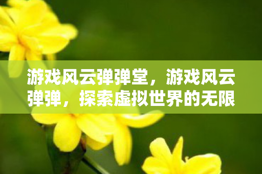游戏风云弹弹堂,游戏风云弹弹,探索虚拟世界的无限可能 游戏风云弹弹堂,游戏风云弹弹,探索虚拟世界的无限可能