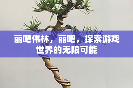 丽吧伟林,丽吧,探索游戏世界的无限可能 丽吧伟林,丽吧,探索游戏世界的无限可能