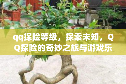 qq探险等级,探索未知,QQ探险的奇妙之旅与游戏乐趣的多样性 qq探险等级,探索未知,QQ探险的奇妙之旅与游戏乐趣的多样性