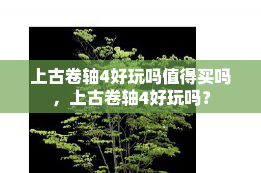 上古卷轴4好玩吗值得买吗,上古卷轴4好玩吗? 上古卷轴4好玩吗值得买吗,上古卷轴4好玩吗?