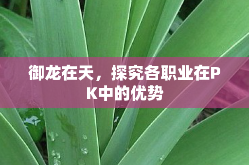 御龙在天,探究各职业在PK中的优势 御龙在天,探究各职业在PK中的优势