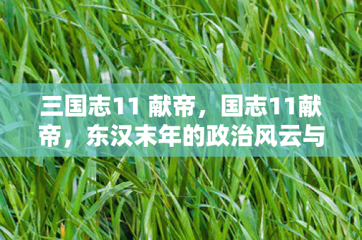 三国志11 献帝,国志11献帝,东汉末年的政治风云与献帝的命运沉浮 三国志11 献帝,国志11献帝,东汉末年的政治风云与献帝的命运沉浮