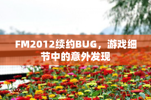 FM2012续约BUG，游戏细节中的意外发现