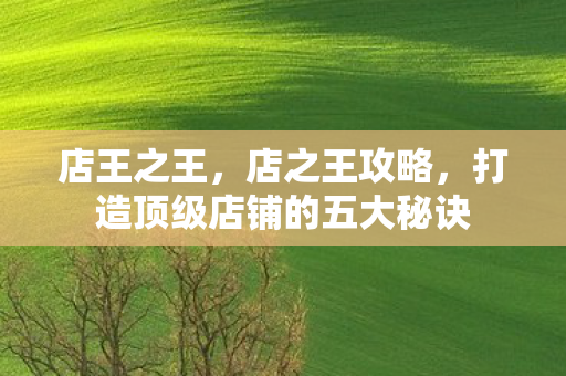 店王之王，店之王攻略，打造顶级店铺的五大秘诀
