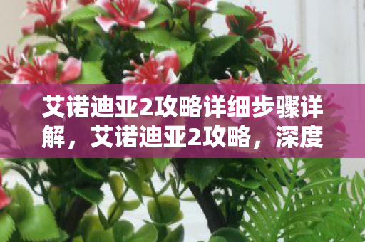 艾诺迪亚2攻略详细步骤详解,艾诺迪亚2攻略,深度解析游戏策略与角色发展 艾诺迪亚2攻略详细步骤详解,艾诺迪亚2攻略,深度解析游戏策略与角色发展