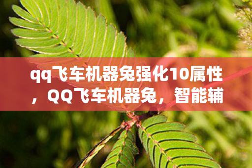 qq飞车机器兔强化10属性,QQ飞车机器兔,智能辅助,提升游戏体验 qq飞车机器兔强化10属性,QQ飞车机器兔,智能辅助,提升游戏体验